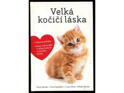 Velká kočičí láska