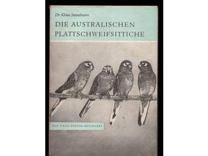 162837 die australischen plattschweifsittiche