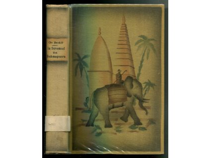 Im Stromtal des Brahmaputra