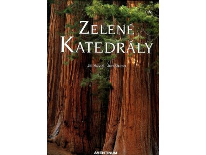 Zelené katedrály, Jiří Havel, 2000