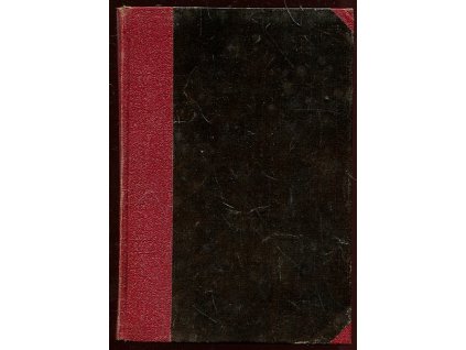 166575 muz za frontou romanek