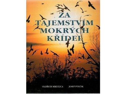 168357 za tajemstvim mokrych kridel