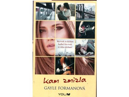 Kam zmizla, Gayle Formanová, 2015