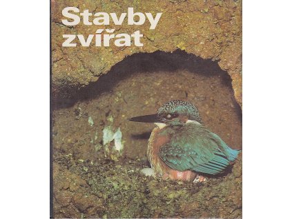 Stavby zvířat, Matthias Freude, 1989