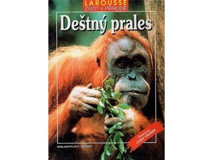 Deštný prales, 1995