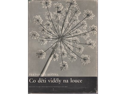 172068 co deti videly na louce