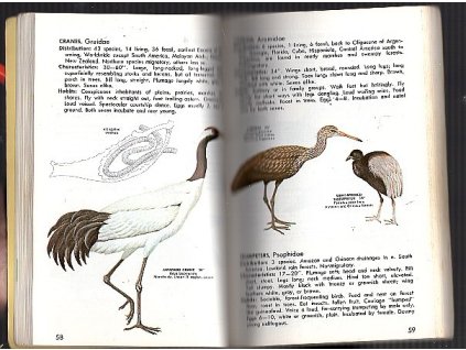 Families of Birds, Oliver L. Austin, 1971