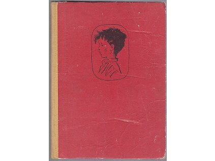 172725 zahada peti domku usmevny spionazni roman o klukovskych letech