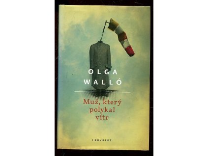 173613 muz ktery polykal vitr roman