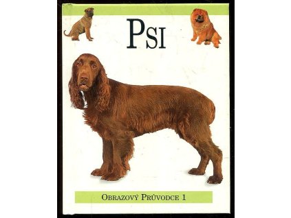 Psi, 1998