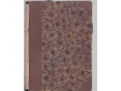 Pilot Máša - Letecký román