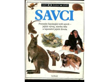 Savci, Steve Parker, 1991
