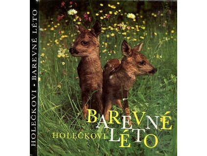 Barevné léto, Jaroslav Holeček, 1974