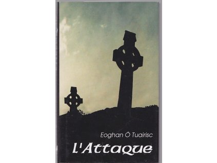 L'Attaque - román z irských dějin, Eoghan Ó Tuairisc, 2007