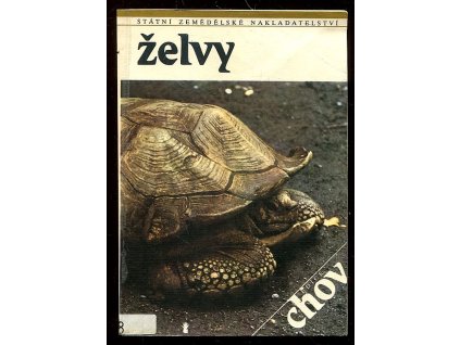 Želvy, Fridrich Szalay, 1990