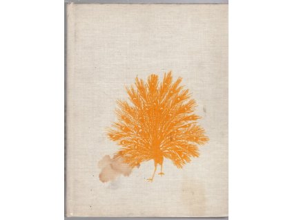 184032 spalicek versu a pohadek