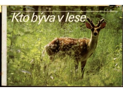 Kto býva v lese