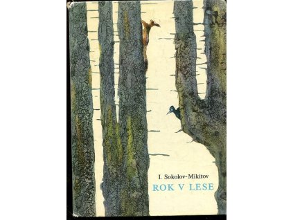 184398 rok v lese
