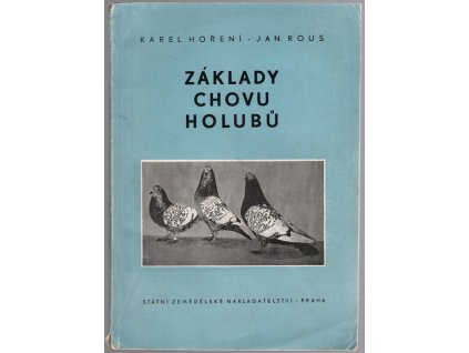 Základy chovu holubů