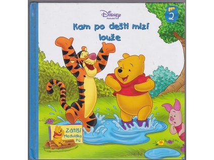 Kam po dešti mizí louže