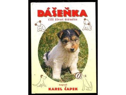 184863 dasenka cili zivot stenete