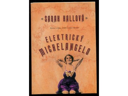 Elektrický Michelangelo - román o lásce, ztrátě a umění tetování, Sarah Hall, 2005