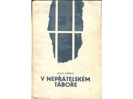 V nepřátelském táboře