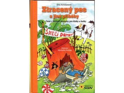 Ztracený pes a jiné příběhy : Čtení s většími písmeny pro kluky a holky