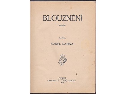 Blouznění : román