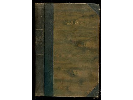 Praha dvacátého století - obrázkový časopis zábavný, 1890