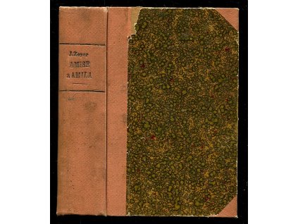 186657 roman o vernem pratelstvi amise a amila