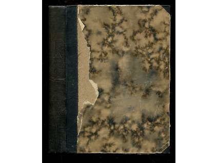 Václav z Michalovic - Evropa - Čerkes - Anděl, Svatopluk Čech, 1907