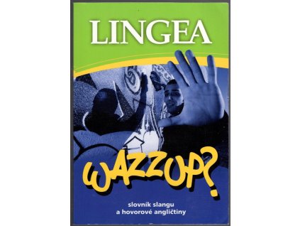 Wazzup? : slovník slangu a hovorové angličtiny, 2008