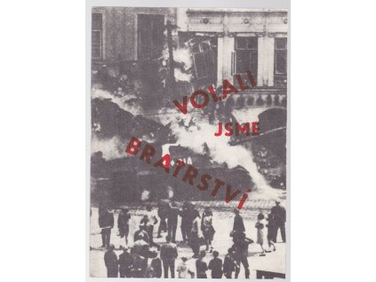 Volali jsme bratrství, autorů Kolektiv, 1990