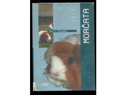 Morčata, Hans L Schippers, 1999