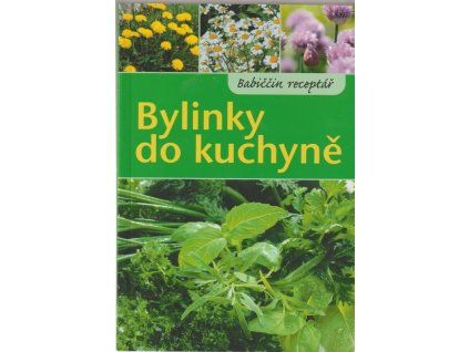 Bylinky do kuchyně, Burkhard Bohne, 2011