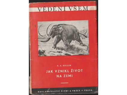 Jak vznikl život na Zemi