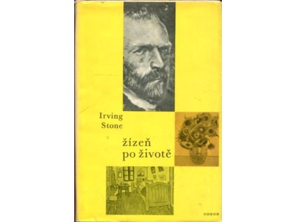 Žízeň po životě - Román o Vincentu Van Goghovi