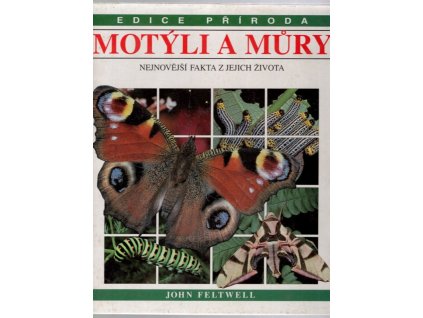 Motýli a můry