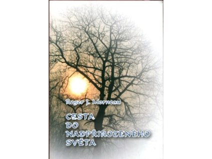 Cesta do nadpřirozeného světa, Roger J Morneau, 2008