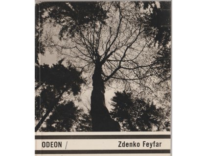 Zdenko Feyfar, Ludvík Souček, 1980
