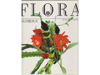193572 flora olomouc