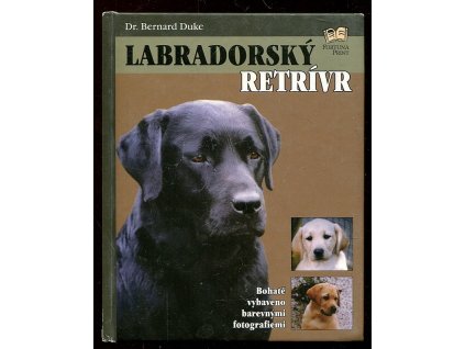 Labradorský retrívr, Bernard Duke, 2001