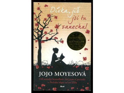 Dívka, již jsi tu zanechal, Jojo Moyesová, 2015