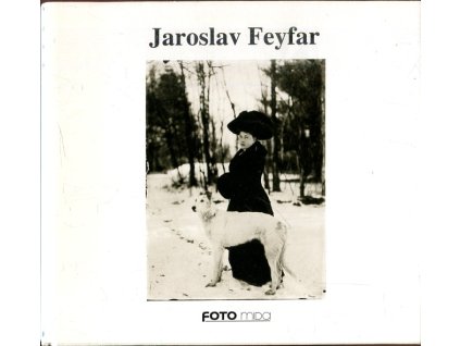 Jaroslav Feyfar, Pavel Scheufler, 1994