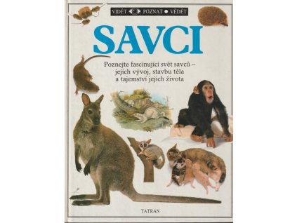 Savci, Steve Parker, 1991