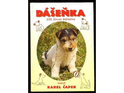 200505 dasenka cili zivot stenete