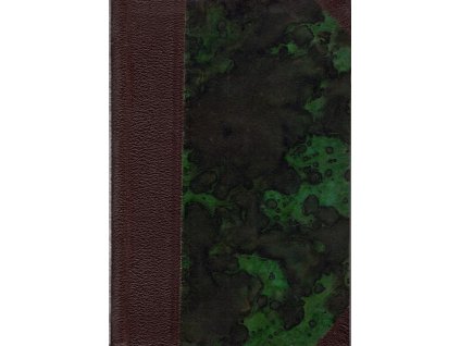 Neviditelný muž, Edmond Cazal, 1924