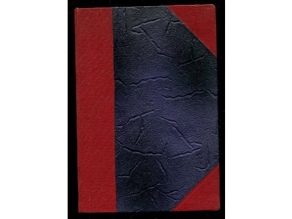 202386 z galerie ceskych vojaku z doby probuzeni