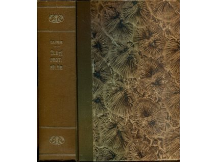 Žlutí proti bílým - dobrodružný utopistický román z druhé poloviny XX. věku. Kniha I